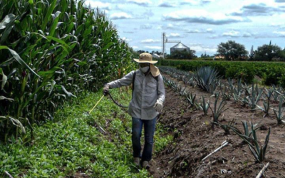 FUNCIONARIOS ANTI-GLIFOSATO DESPRECIAN A INSTITUCIONES ESPECIALIZADAS EN TEMAS AGROPECUARIOS