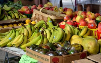 Superávit agroalimentario de México supera los 11,400 millones de dólares