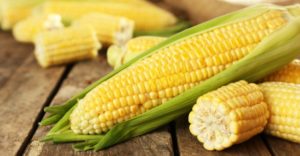 Precio del maíz llega a su nivel más alto en siete años