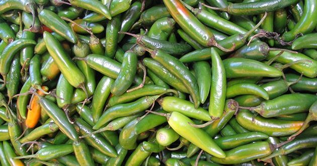 Heladas dañan 95% de hortalizas de Nuevo León