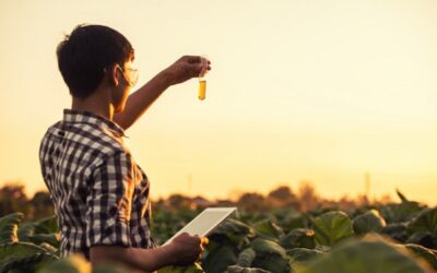 LOS INGENIEROS AGRÍCOLAS, PIEZA CLAVE PARA ALIMENTAR A UNA POBLACIÓN EN CONSTANTE Y RÁPIDO CRECIMIENTO