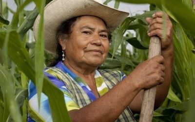 MUJERES MUEVEN LA INDUSTRIA DE LA FLORICULTURA EN EL ESTADO DE MÉXICO