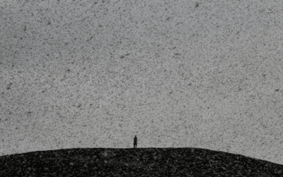 Dan pelea: transformaron una plaga histórica de langostas en una oportunidad