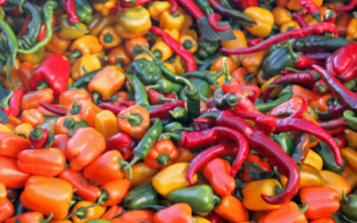 Chile: el rey de la cocina mexicana