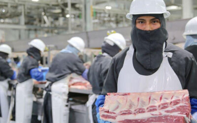 ¡Celebramos el Día Mundial de la Inocuidad de los Alimentos!